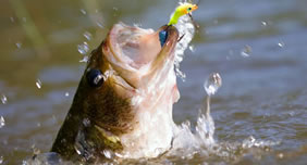 Hunting and Fishing Licenses Sold in Ohio at Vance Outdoors